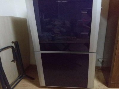 吴中区西门子冰箱维修服务电话