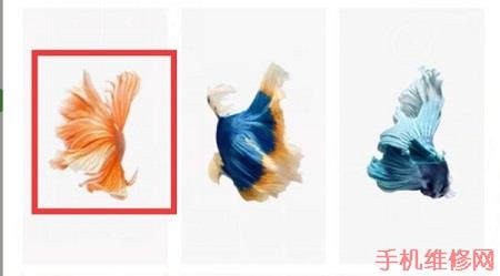 南京苹果维修点告诉你iPhone动态壁纸怎么设置？苹果XS Max设置live photo方法 
