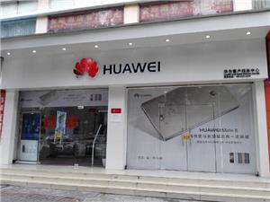 江门华为维修点：江门跃进路店