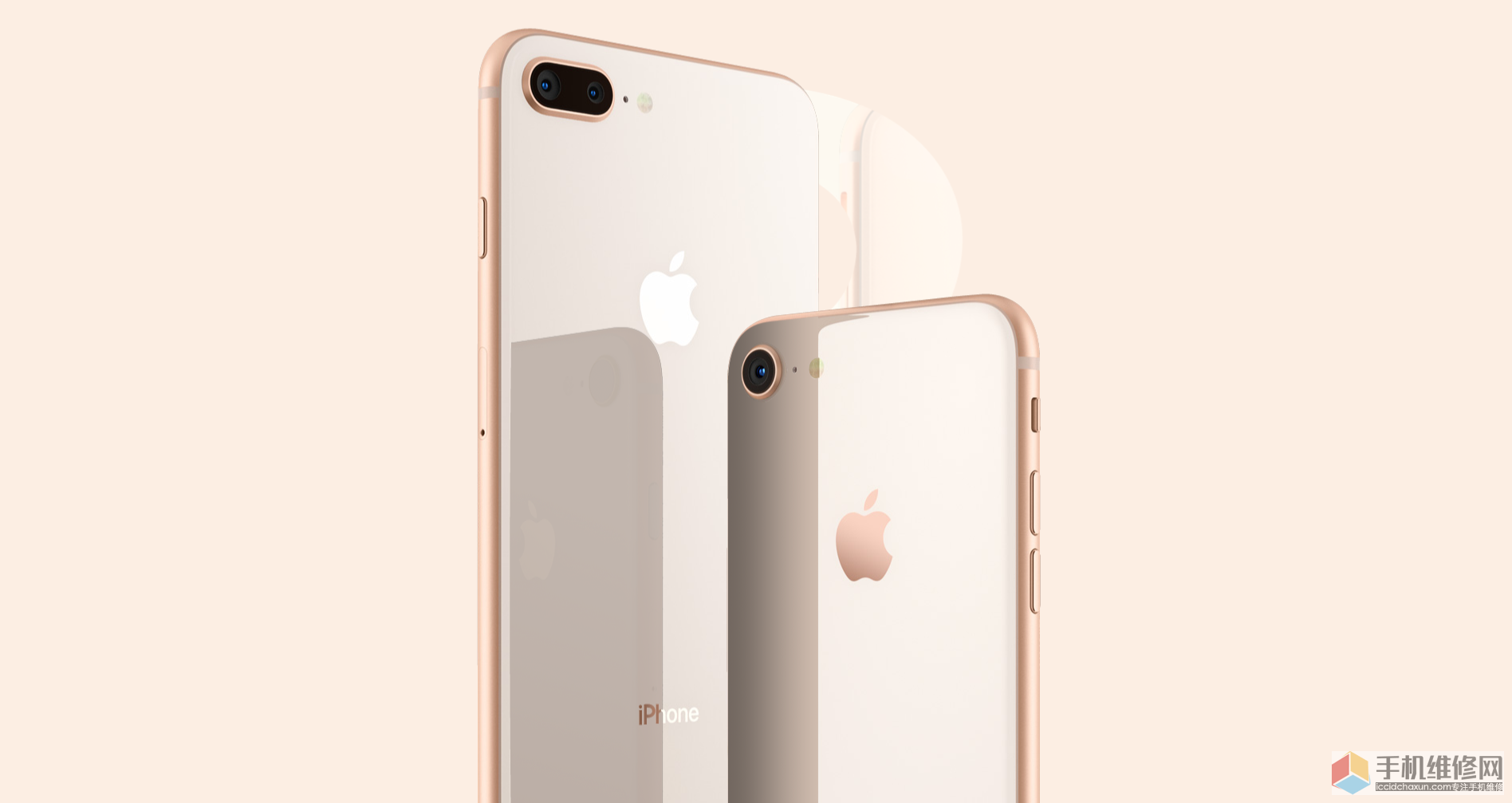 iPhone的防水功能怎么样？有防水功能就不会进水吗？