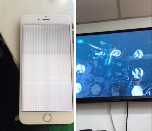 iPhone XS进水了怎么办？沈阳苹果维修点教你轻松处理