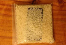 iPhone手机进水不用怕！东莞苹果维修点教你5个步骤救活iPhone！-手机维修网