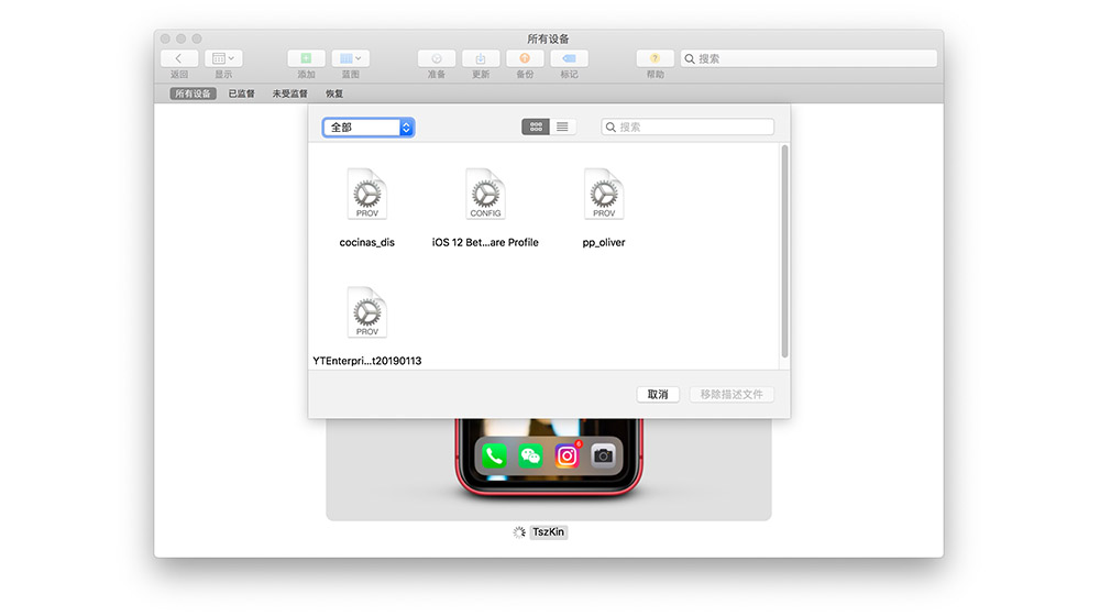 iPhoneX描述文件怎么删除？长春苹果维修点分享解决方法
