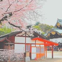 热心网友