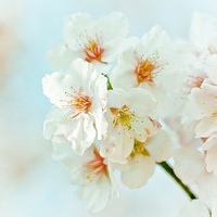 热心网友
