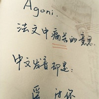 热心网友