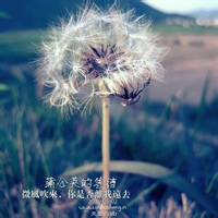 热心网友